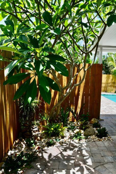 Tropical Retreat Near Beaches, Cruise Terminals Merritt Island Exteriér fotografie